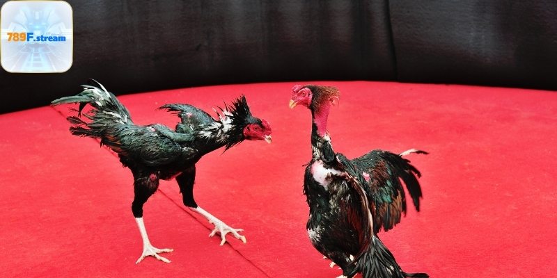 Chính sách thưởng và cam kết bảo mật tuyệt đối