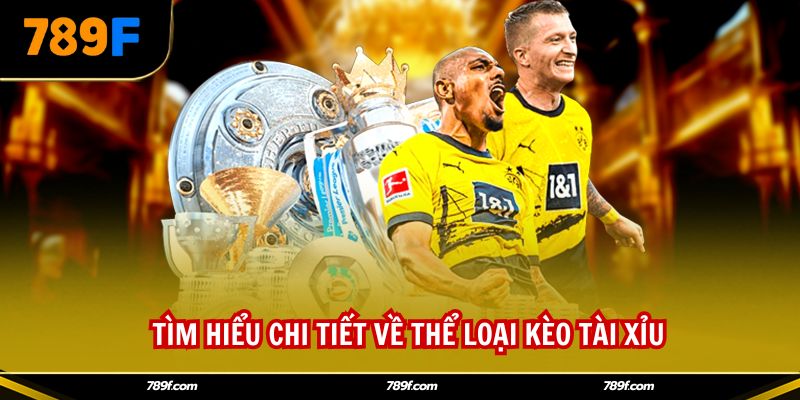 Tìm hiểu chi tiết về thể loại kèo tài xỉu 